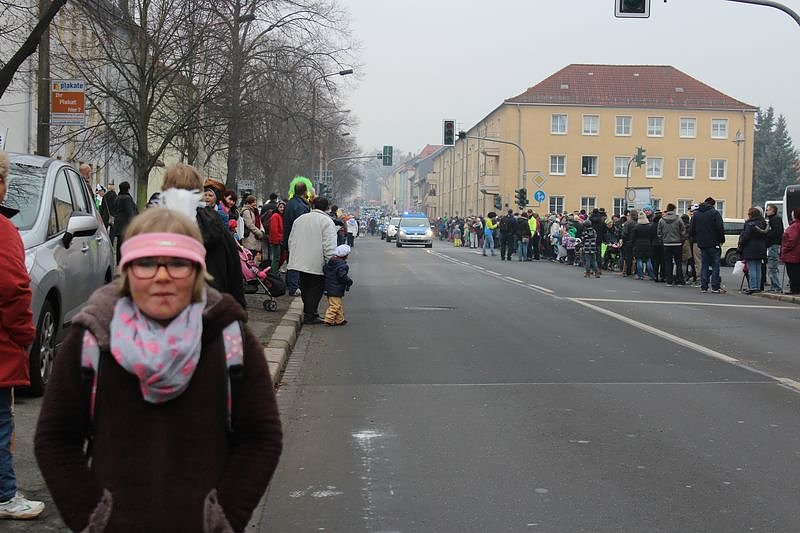 N&auml;rrinnen und Narren zogen durch Sondershausen (1)