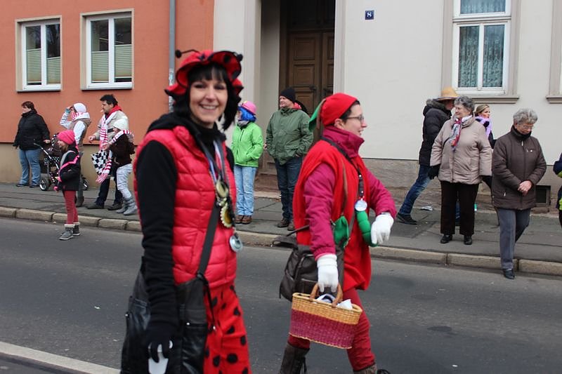 N&auml;rrinnen und Narren zogen durch Sondershausen (1)