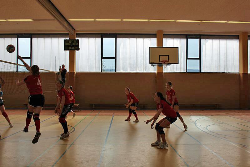 Neues vom Volleyball