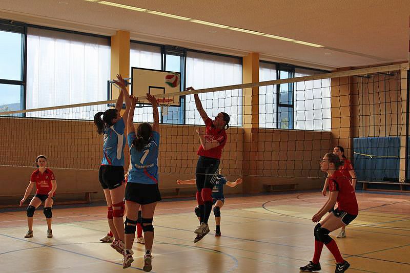 Neues vom Volleyball