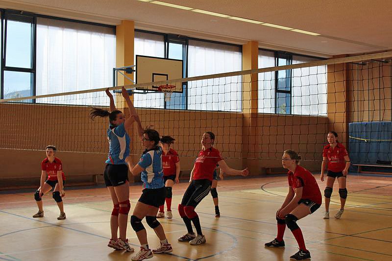 Neues vom Volleyball