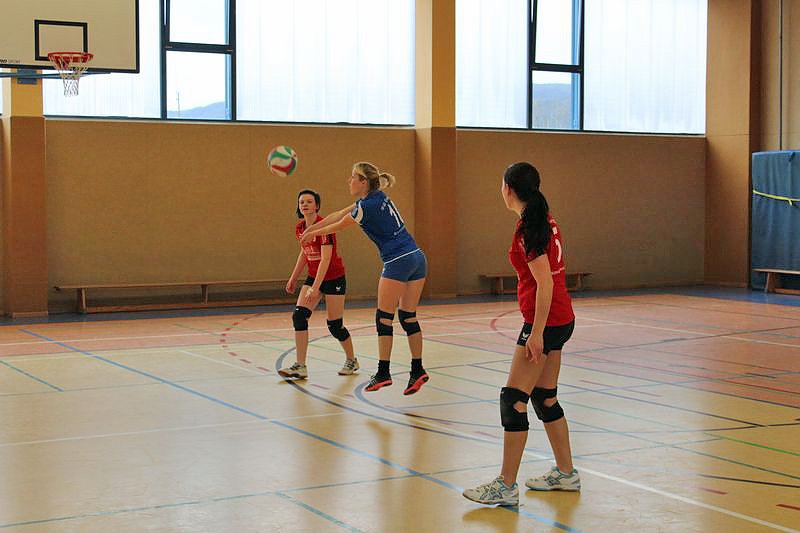 Neues vom Volleyball