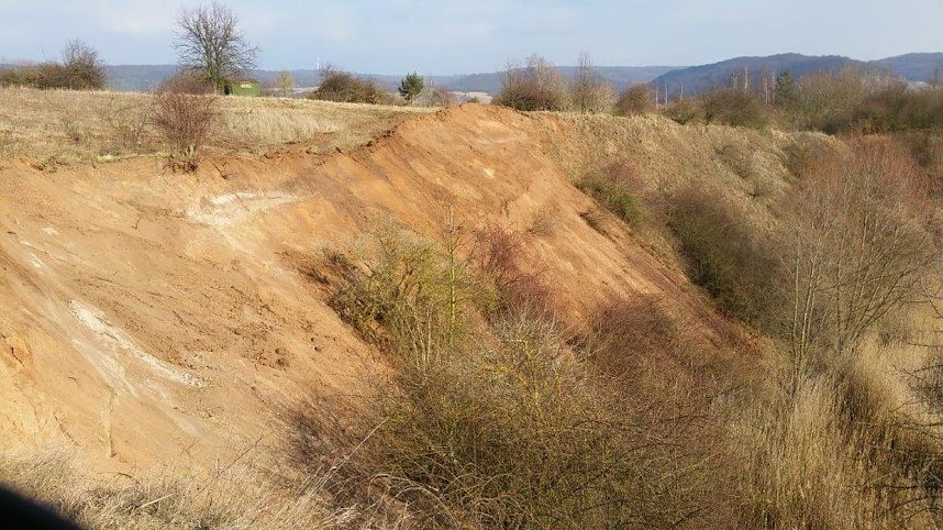 NABU-Kyffh&auml;userkreis- Aktuell: