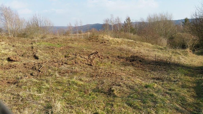 NABU-Kyffh&auml;userkreis- Aktuell: