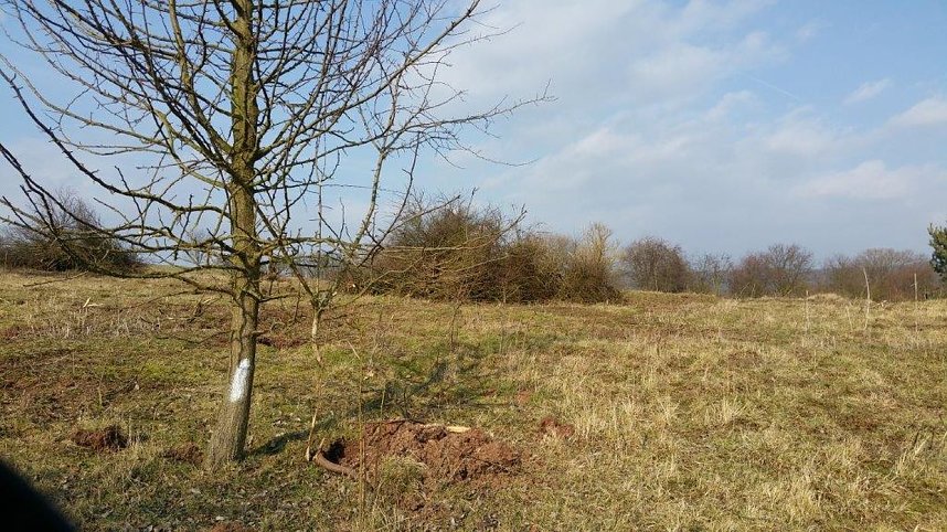 NABU-Kyffh&auml;userkreis- Aktuell: