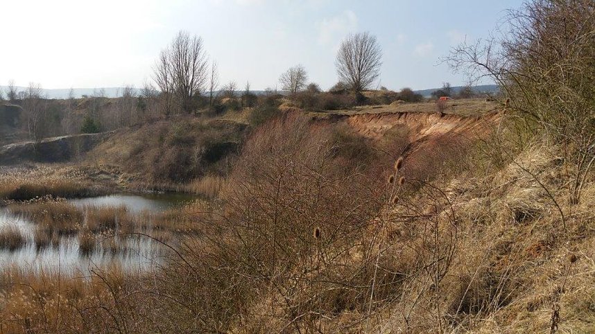 NABU-Kyffh&auml;userkreis- Aktuell: