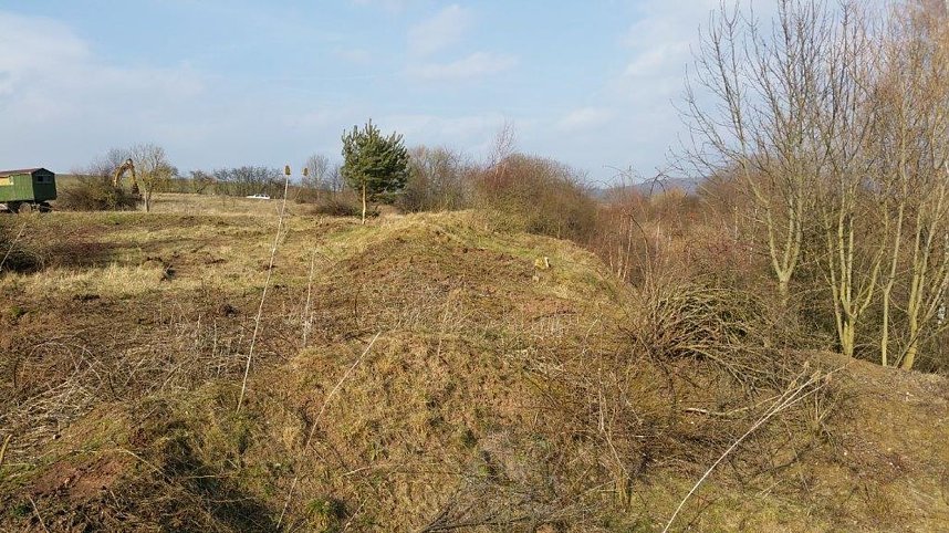 NABU-Kyffh&auml;userkreis- Aktuell: