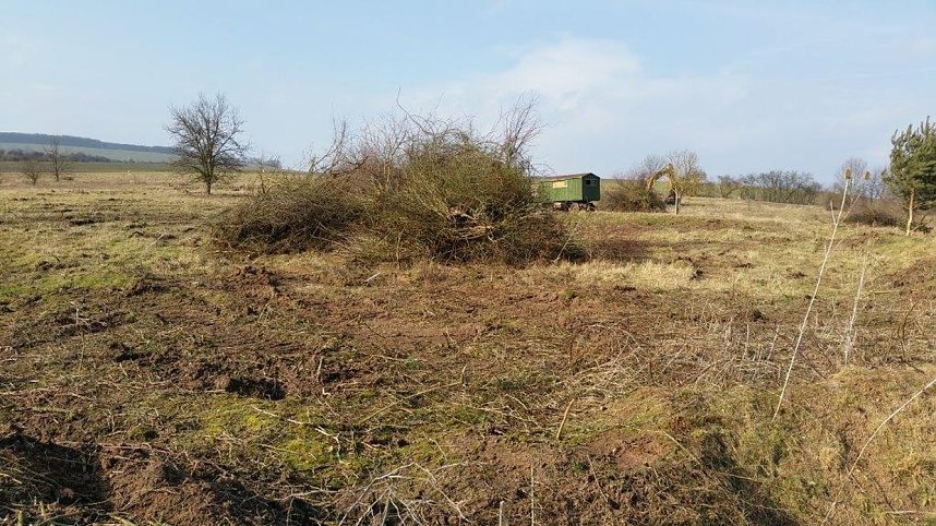 NABU-Kyffh&auml;userkreis- Aktuell: