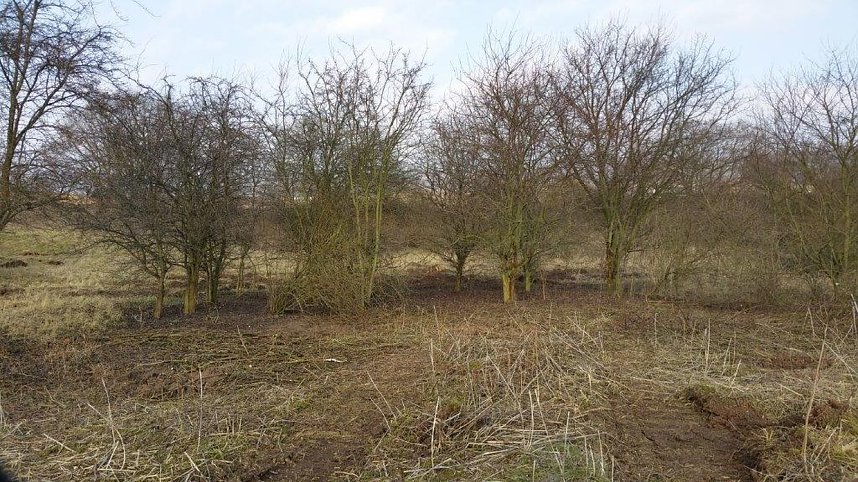 NABU-Kyffh&auml;userkreis- Aktuell: