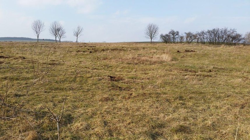 NABU-Kyffh&auml;userkreis- Aktuell: