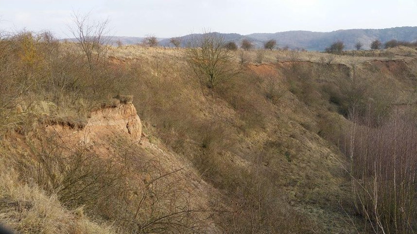 NABU-Kyffh&auml;userkreis- Aktuell: