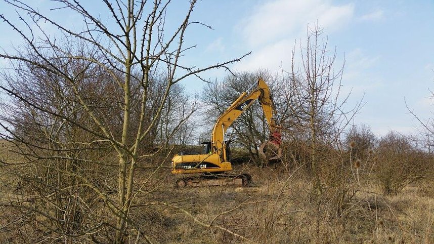 NABU-Kyffh&auml;userkreis- Aktuell: