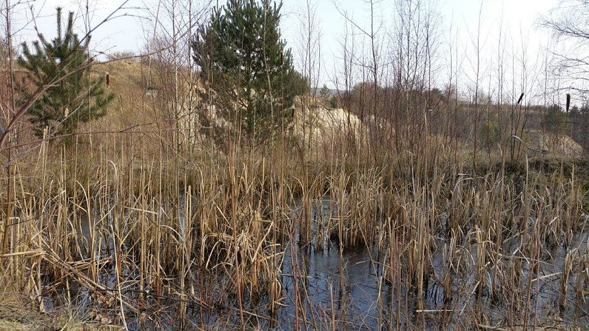 NABU-Kyffh&auml;userkreis- Aktuell: