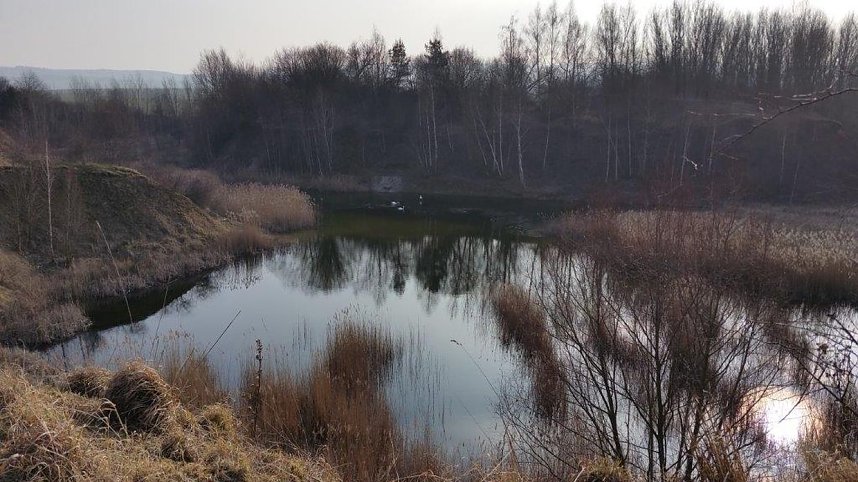 NABU-Kyffh&auml;userkreis- Aktuell: