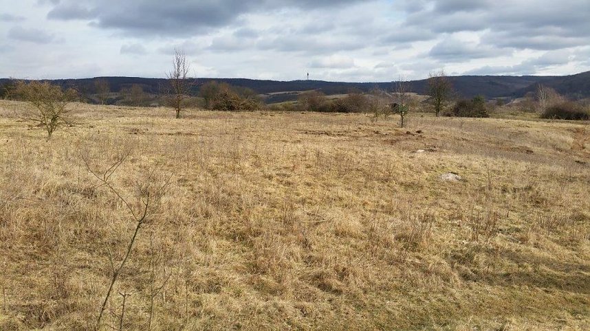 NABU-Kyffh&auml;userkreis- Aktuell: