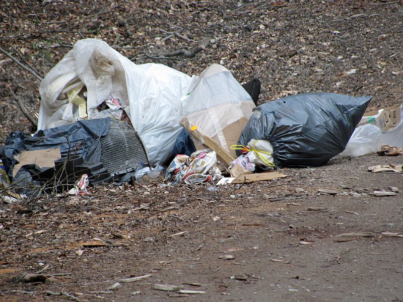 M&uuml;ll &uuml;ber M&uuml;ll