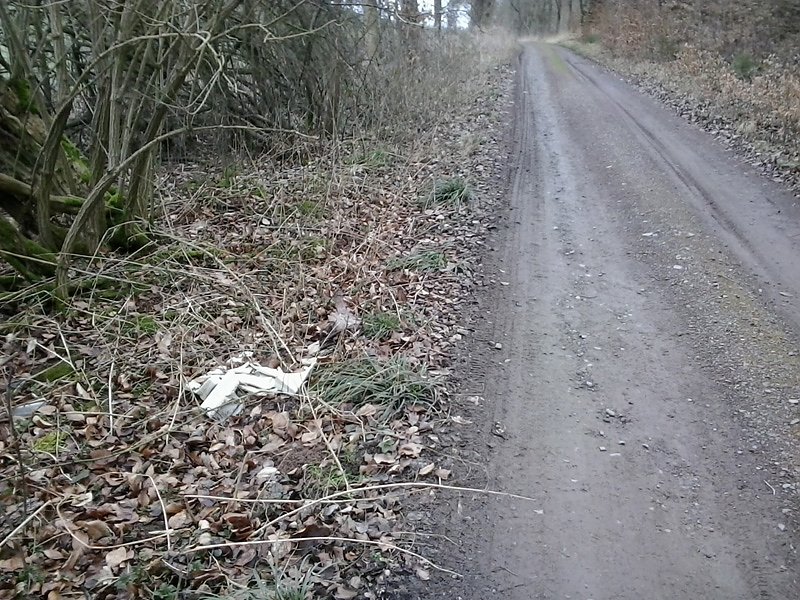 M&uuml;ll &uuml;ber M&uuml;ll