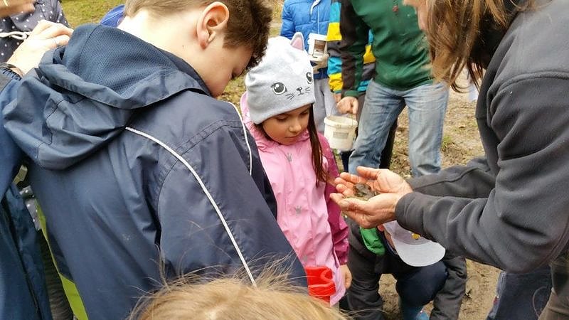 NABU Kids helfen Amphibien