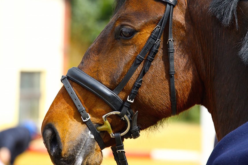 18. Osterturnier in Immenrode