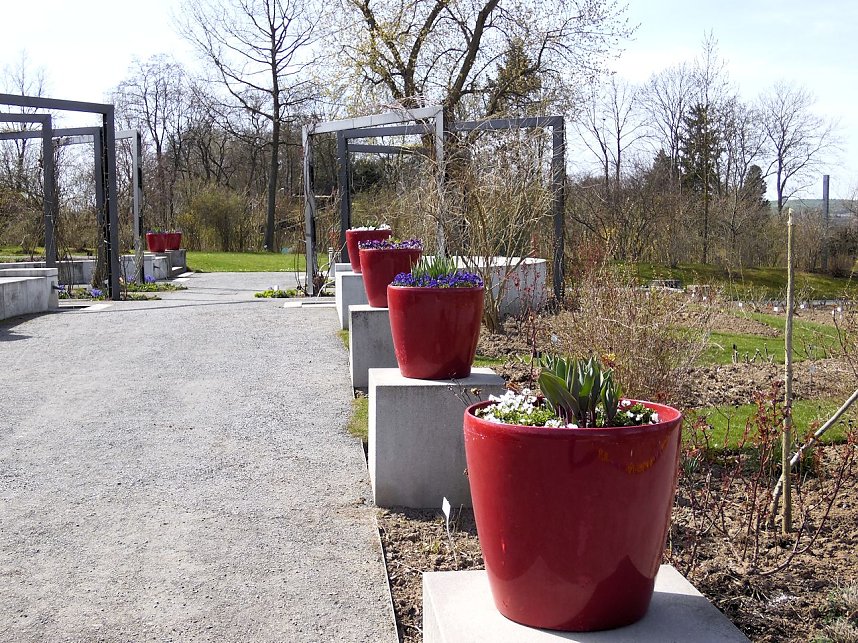 Saisoner&ouml;ffnung im Sangerh&auml;user Rosarium