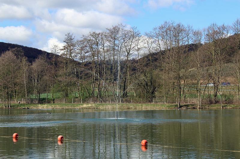Aufgetaucht sind alle wieder!