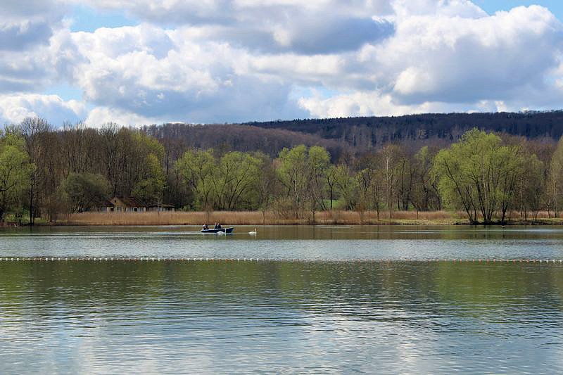 Aufgetaucht sind alle wieder!