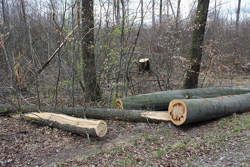 Wanderregion Sondershausen