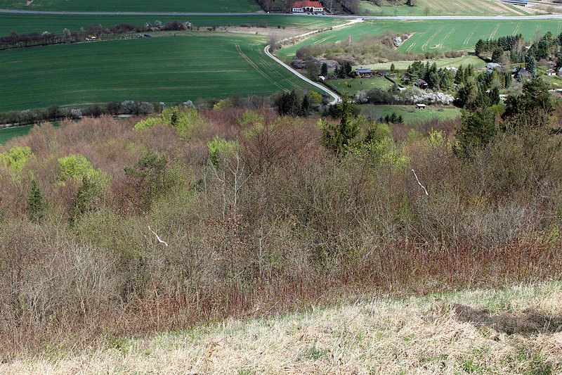 Geduld f&uuml;rs Gleitschirmfliegen