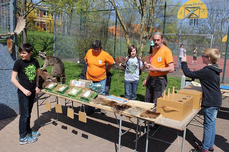 Bereits 10. Baumfest in Sondershausen