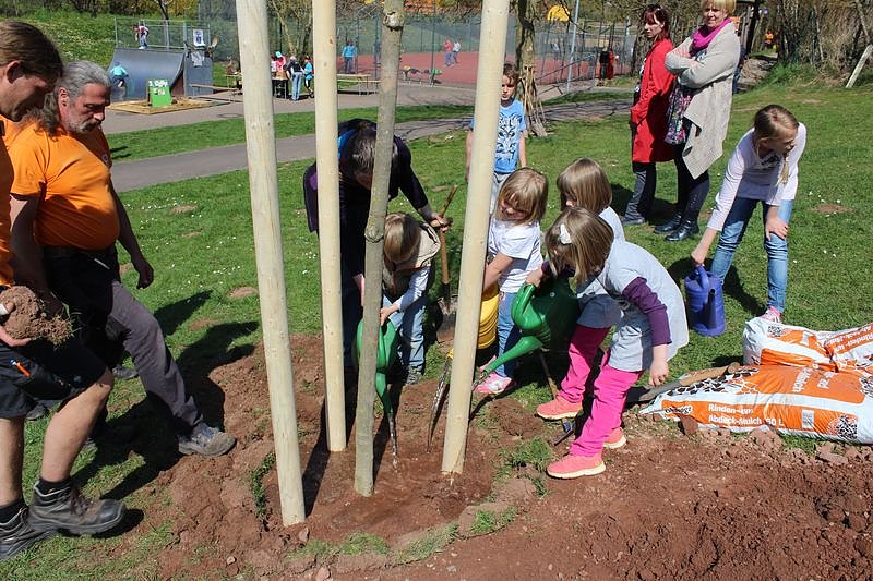 Bereits 10. Baumfest in Sondershausen