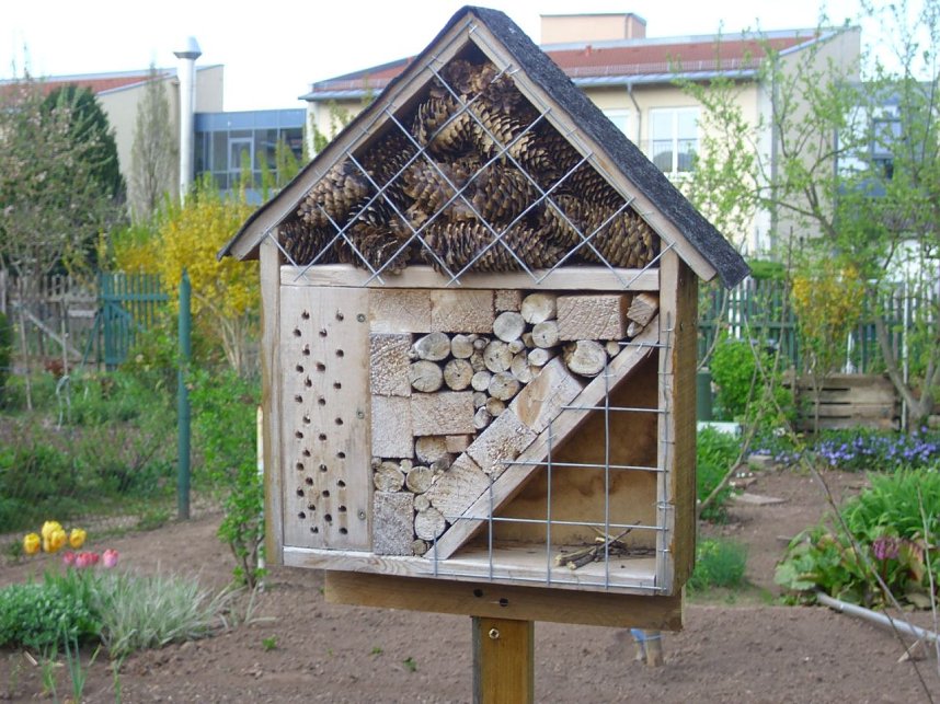 Auf Besuch eingestellt