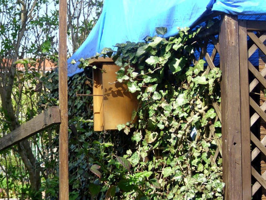 Auf Besuch eingestellt