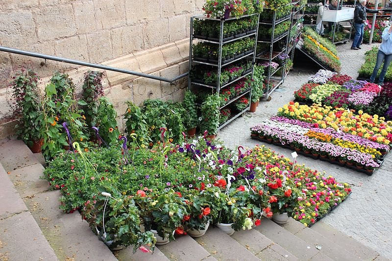 Gewimmel auf dem Pflanzenmarkt