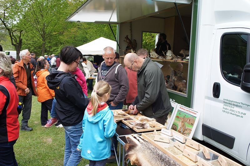 Zahlreiche Besucher beim 5. Erlebnistag Hohe Schrecke