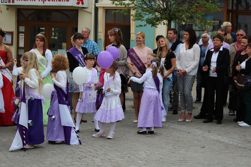 Fliederkrone wurde gesetzt