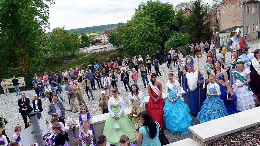Fliederbaum an neuem Ort gepflanzt