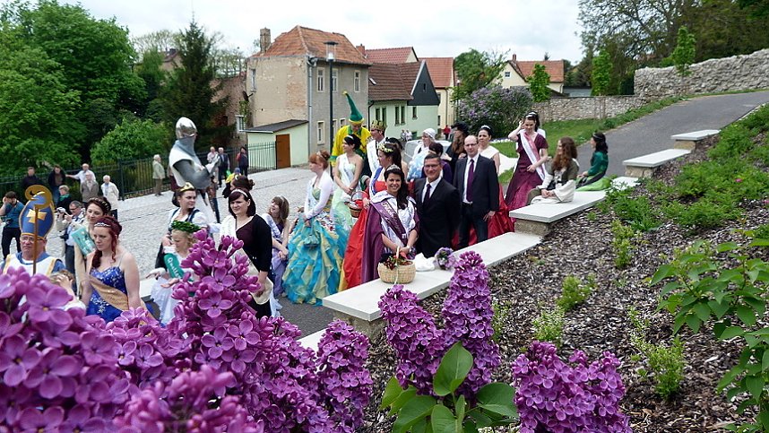 Fliederbaum an neuem Ort gepflanzt
