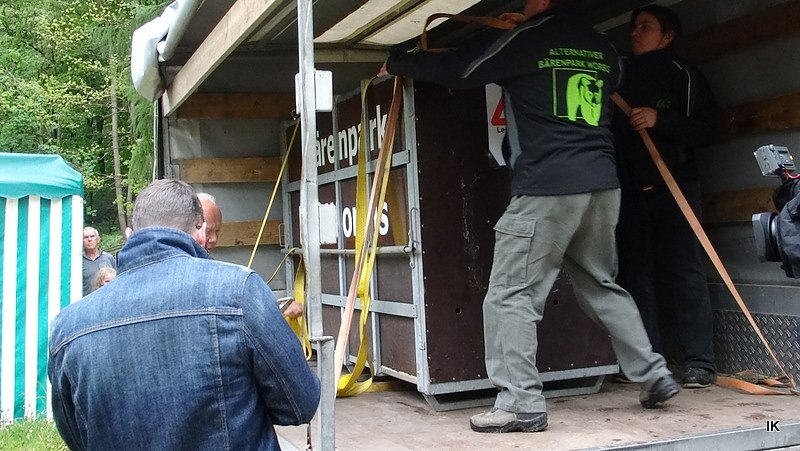 B&auml;rin Conny zieht nach Worbis