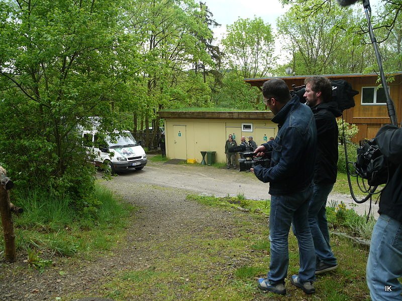 B&auml;rin Conny zieht nach Worbis