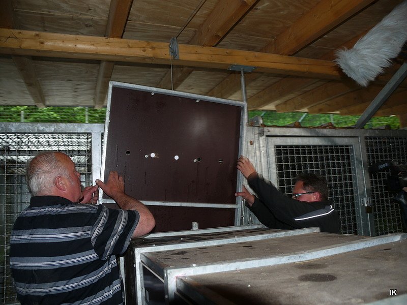 B&auml;rin Conny zieht nach Worbis