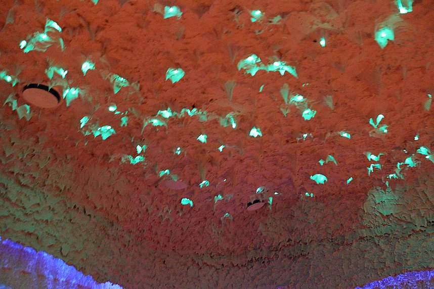 Die besondere Totes-Meer-Salzgrotte