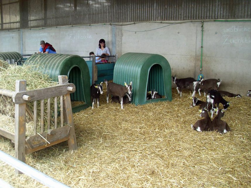 Auf M&uuml;hlentour (2)