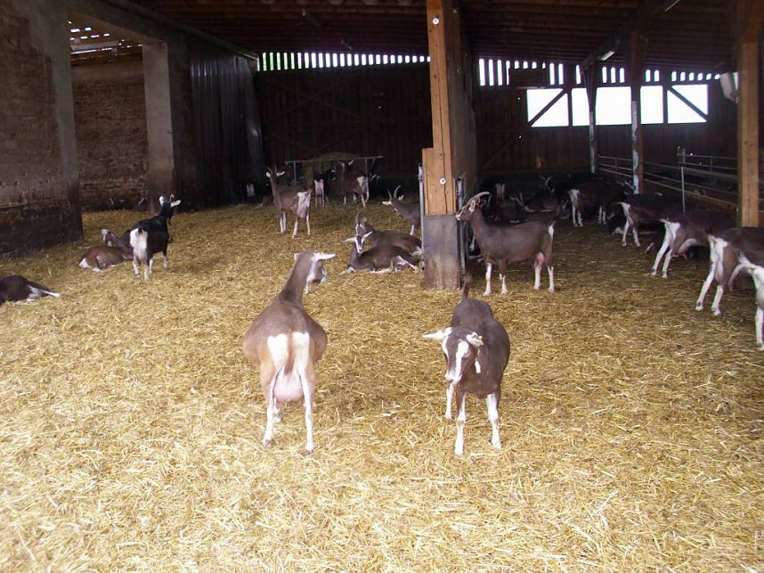 Auf M&uuml;hlentour (2)