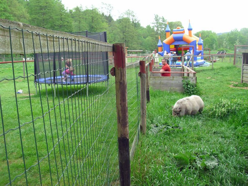 Auf M&uuml;hlentour (3)