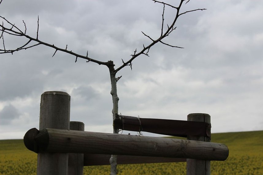 Vandalismus am Radweg?