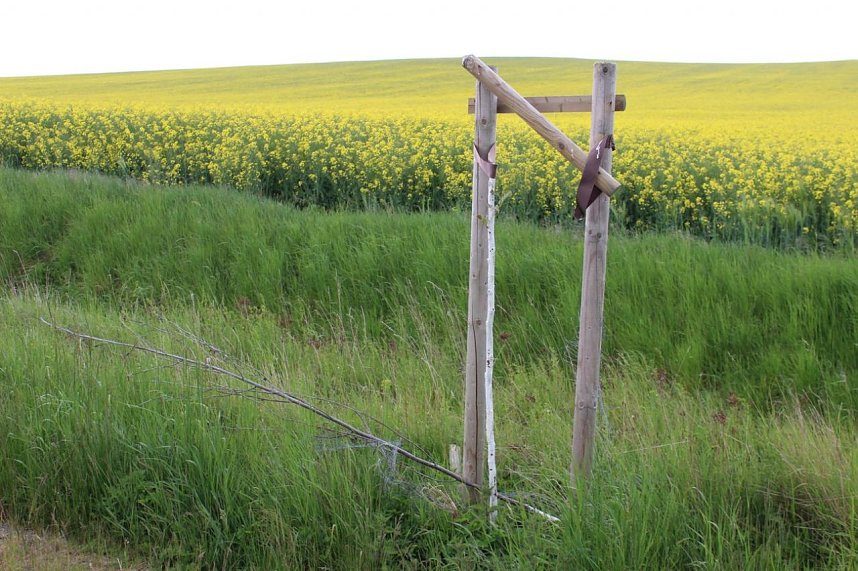 Vandalismus am Radweg?