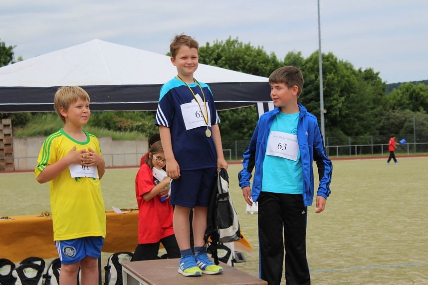 Ergebnisse der 5. Mini-WM