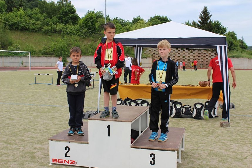 Ergebnisse der 5. Mini-WM