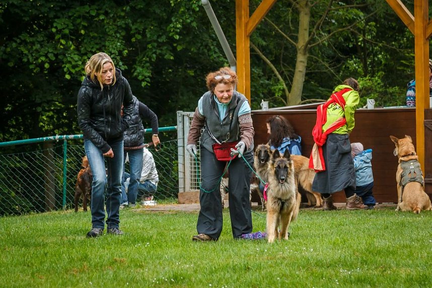 Mantrailing-Seminar auf dem Sondersh&auml;user Hundeplatz