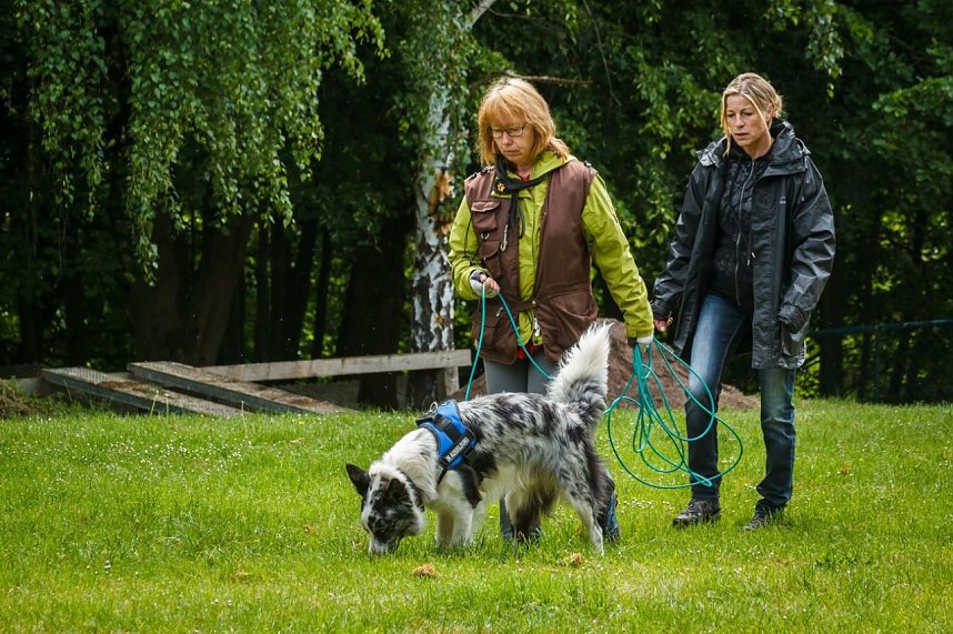 Mantrailing-Seminar auf dem Sondersh&auml;user Hundeplatz